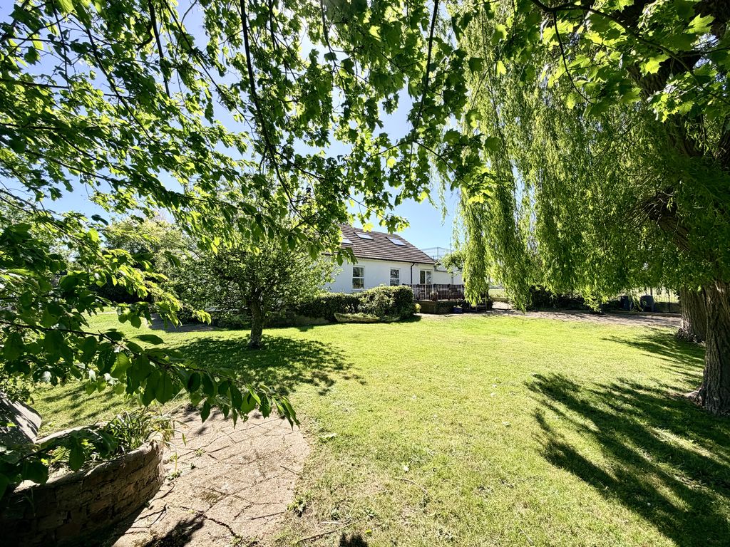 Cockmarsh